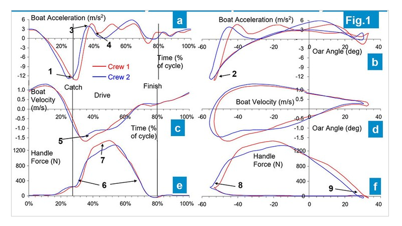 Rowing Science: Case Study on Technique Efficiency